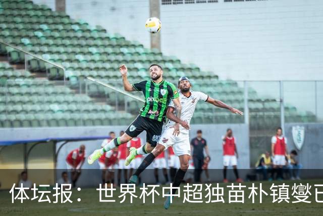 体坛报：世界杯中超独苗朴镇燮已回浙江队，增强球队中后场硬度