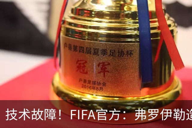 技术故障！FIFA官方：弗罗伊勒造点没有越位 瑞士进球无异议