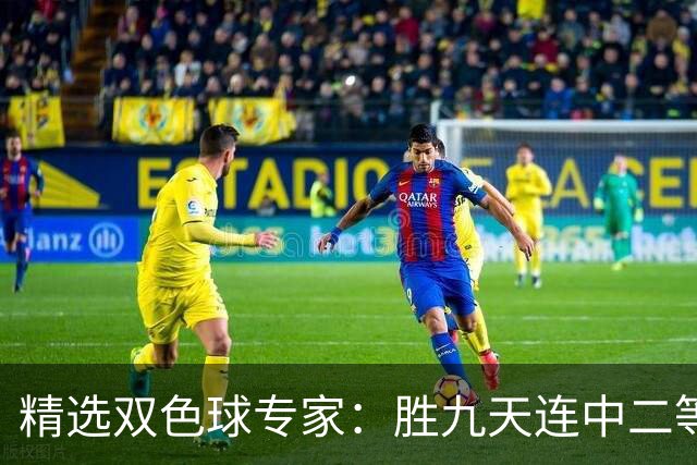 精选双色球专家：胜九天连中二等和5+1揽300万