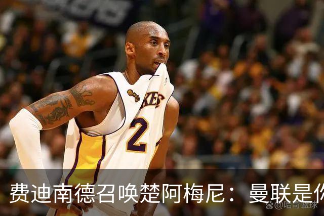 费迪南德召唤楚阿梅尼：曼联是你的唯一归宿，想成事的话就来吧！