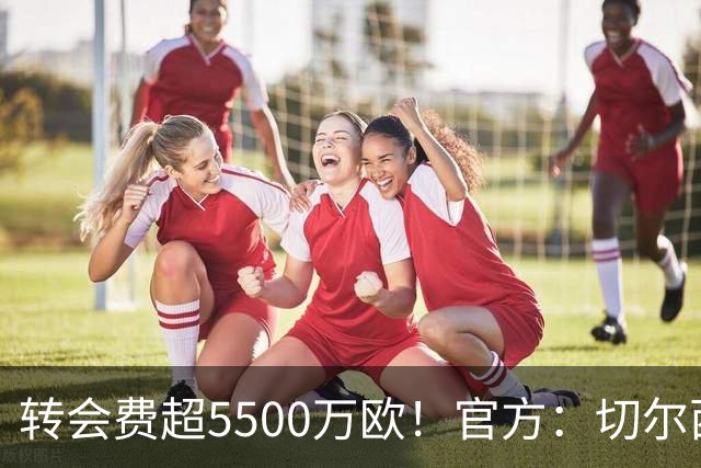 转会费超5500万欧！官方：切尔西签下21岁帕莱斯特拉，签约7年